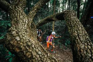 BIB: 
                            <button type="button" onclick="openModal(25389722)" class="btn btn-primary btn-sm float-right btn-popup" data-toggle="modal" data-target=".modal-high-quality">
                        <i class="fas fa-shopping-cart"></i> Add to Cart
                    </button>
                                            <button type="button" onclick="isThisMe(25389722, true)" class="btn btn-success btn-sm float-right btn-popup btn-isme hidden" data-toggle="tooltip" data-placement="bottom" title="นี่คือรูปของคุณใช่ไหม คลิกที่นี่เพื่อเอาเข้าอัลบั้ม">
                        <i class="fas fa-plus"></i> Add to album
                    </button>
                    <button type="button" onclick="isThisMe(25389722, false)" class="btn btn-warning btn-sm float-right btn-popup btn-isnotme hidden">
                        <i class="fas fa-ban"></i> Remove from album
                    </button>